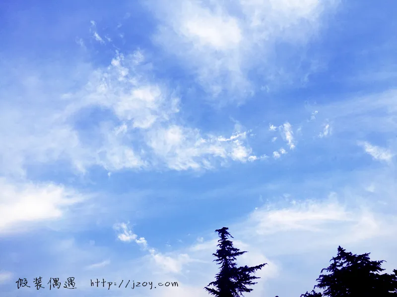 1741526864-b0.png