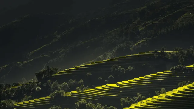 写于人生的新起点，36岁。