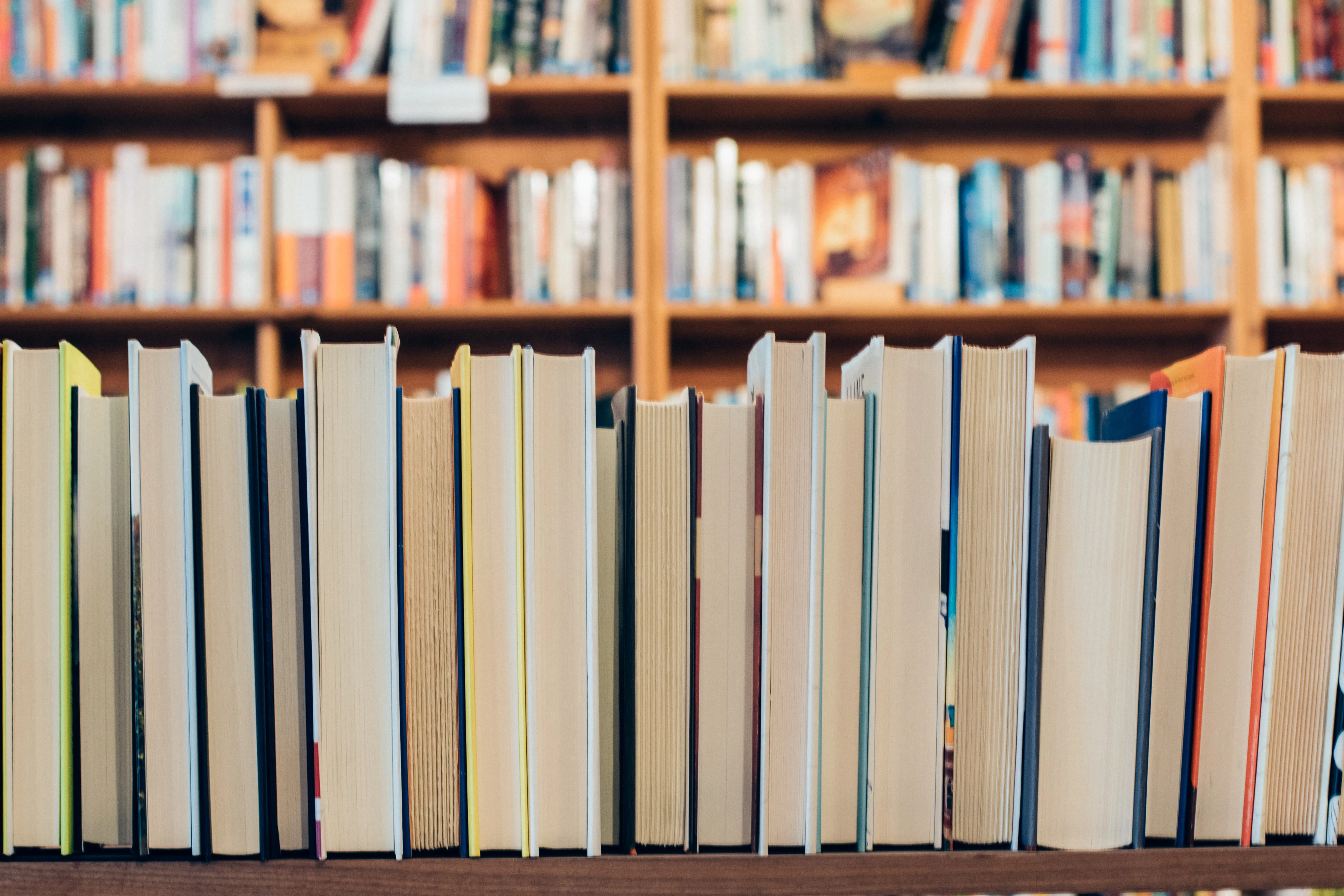 book-wood-shelf-furniture-bookcase-bookstore-1363177-pxhere.com (1).jpg