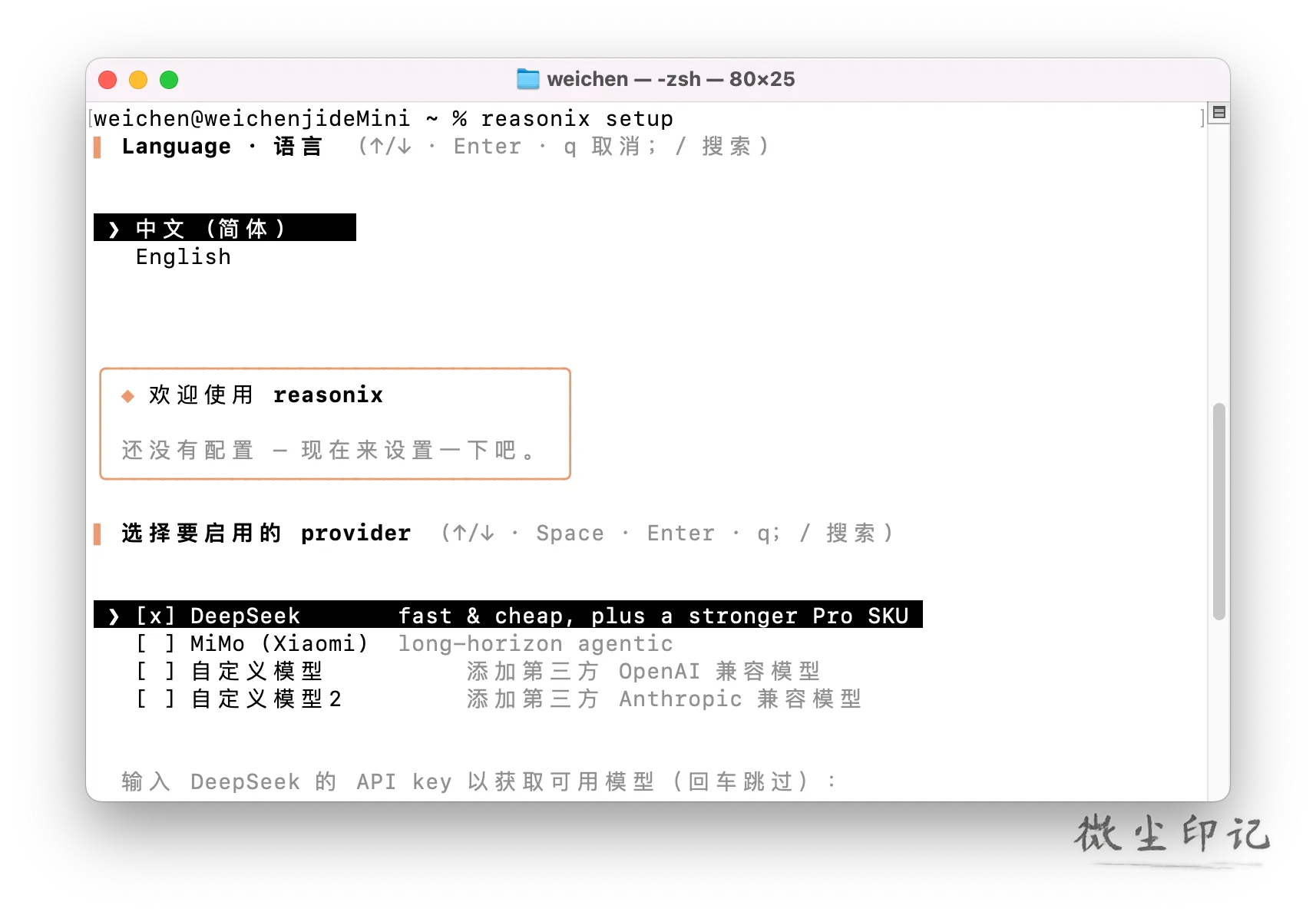 reasonix 配置页面.png